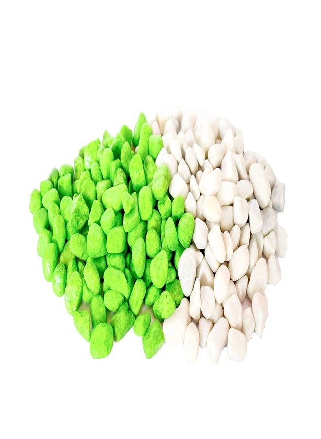 Power Stone Decorative Coloured Asymmetric Marble Stone Pebbles for Vase Filler Plant Pots Home Aquarium Fish Tanks Landscape Outdoor Garden Decoration (Parrot Green & White, 1Kg) - Image 4